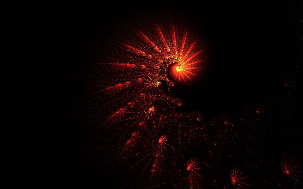 photo of red spiral lights with black background HD wallpaper