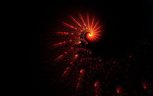 photo of red spiral lights with black background