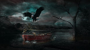 black and white eagle flying over red canoe
