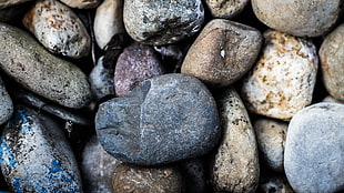 closeup photography of gray and white stones