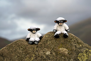 two Sheep plush toy on top of rock during day time