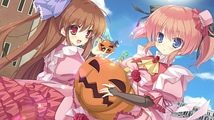 two pink dressed female anime characters illustration
