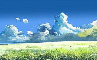 grass field, Makoto Shinkai , 5 Centimeters Per Second, field, clouds