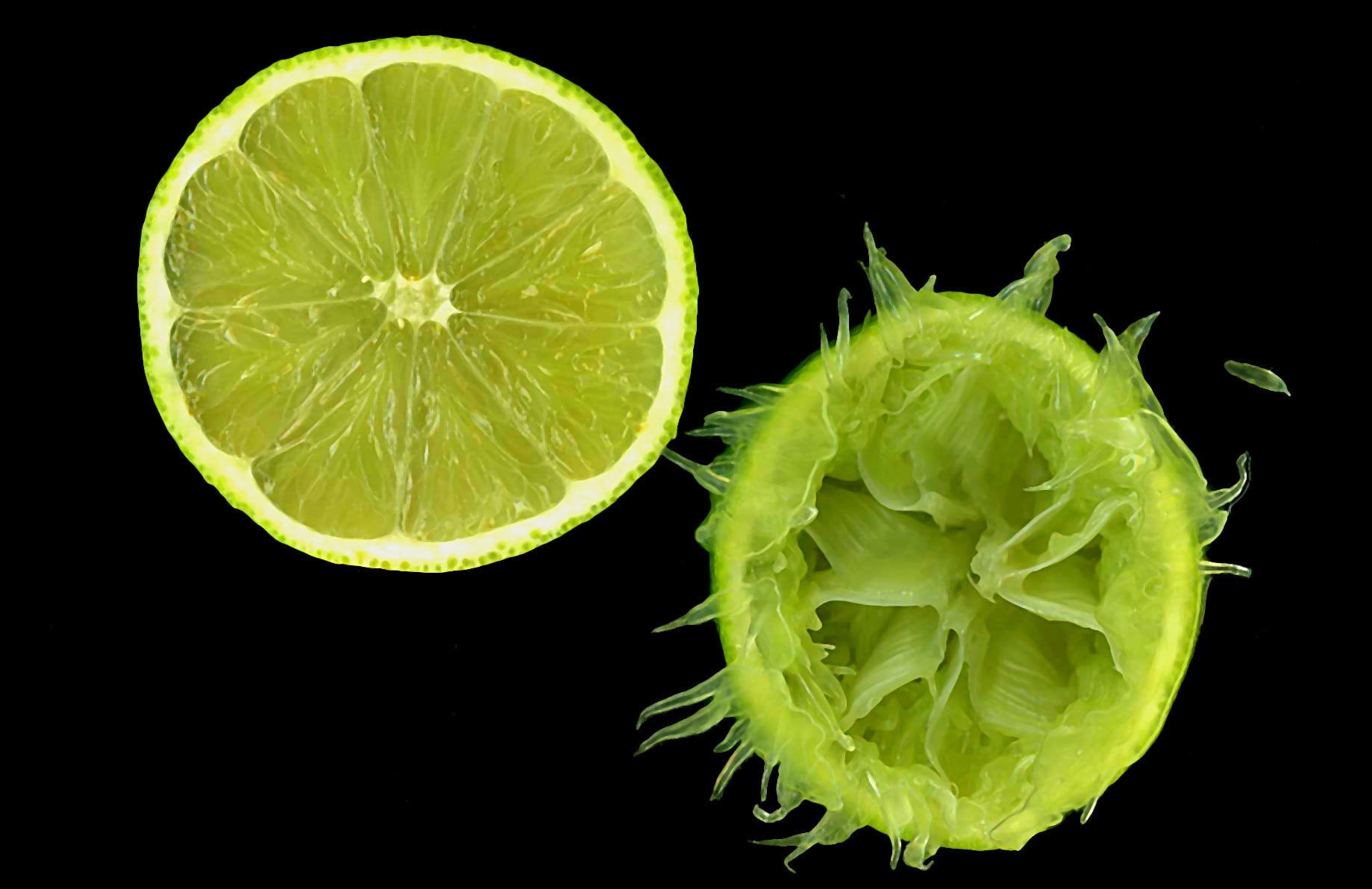 green sliced lemon