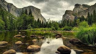 body of water with rocks and grass, nature, river, rock, mountains