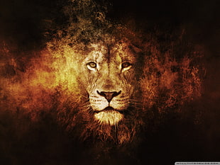 brown lion illustration, lion, animals, texture, digital art