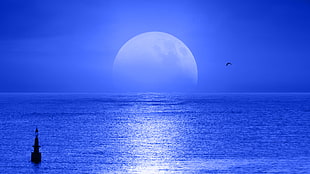 body of water and moon photo HD wallpaper