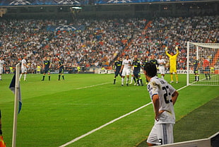 men's white soccer shirt, soccer, Mesut Ozil, Real Madrid, soccer pitches HD wallpaper
