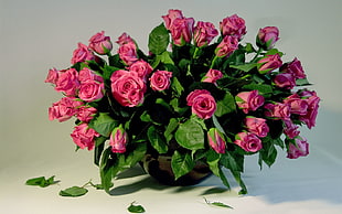 pink flower bouquet with green leafs