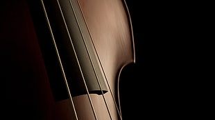 brown violin, cello, musical instrument HD wallpaper