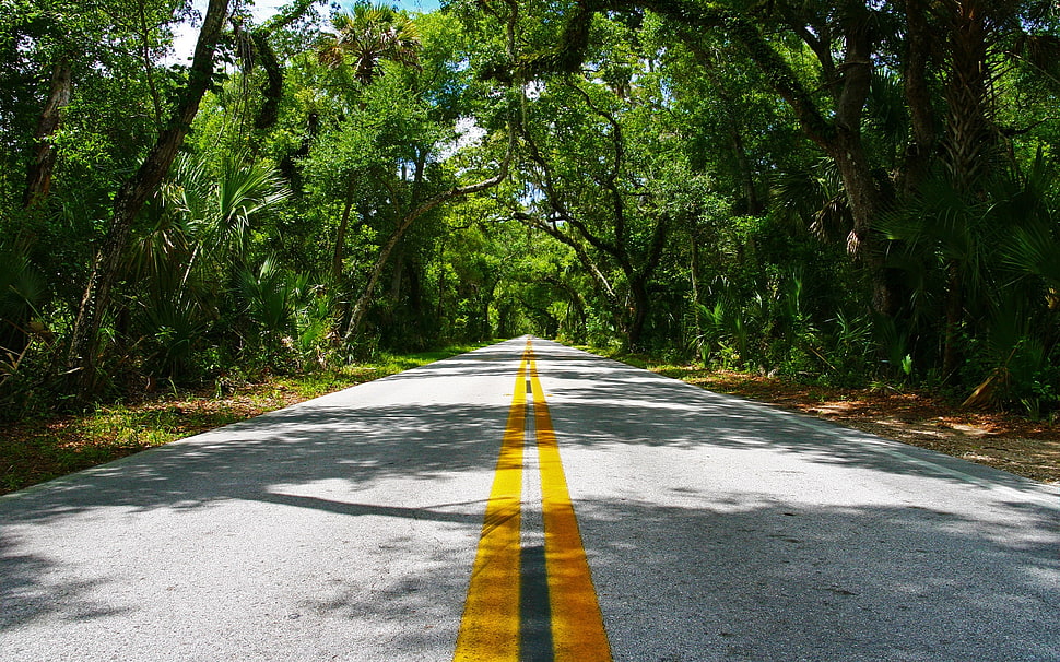 gray, yellow, and black road HD wallpaper