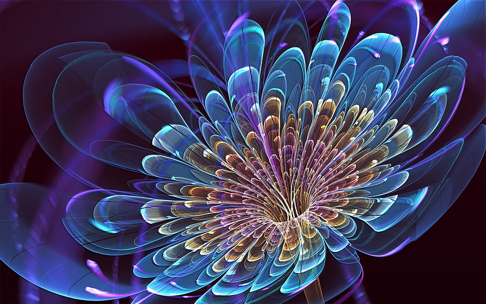 yellow and blue flower wallpaper HD wallpaper
