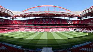 Meo football field, Lisbon, S.L. Benfica HD wallpaper