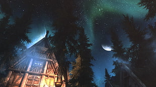 house surrounded with trees painting, The Elder Scrolls V: Skyrim, ENB, video games, aurorae