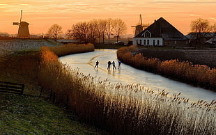 body of water and grasses, Netherlands, landscape, ice skate