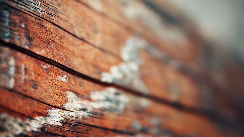 brown wooden wall HD wallpaper
