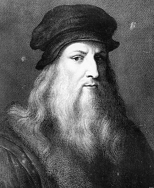 black and white short coated dog, Leonardo da Vinci HD wallpaper