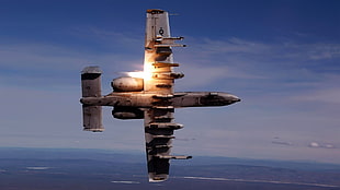gray fighter jet, jet fighter, airplane, Warthog, A10 
