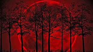 silhouette of trees with blood moon background
