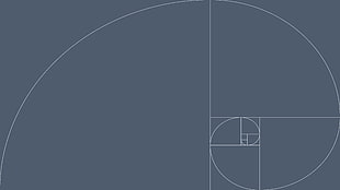 white and black wooden cabinet, Fibonacci sequence, golden ratio, graphic design, geometry HD wallpaper