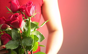 woman holding and Bouquet of red roses
