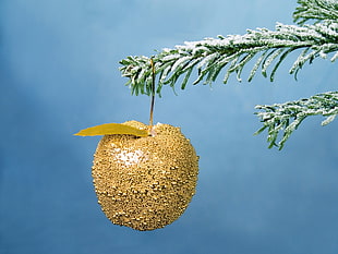 gold-colored apple fruit bauble HD wallpaper