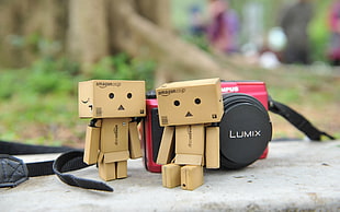two human beige Amazon wooden blocks beside red and black Lumix camera