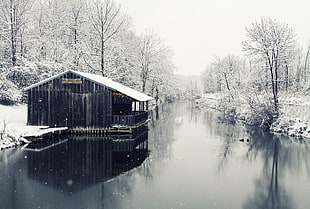cabin beside body of water during winter, river, hut, water, winter HD wallpaper