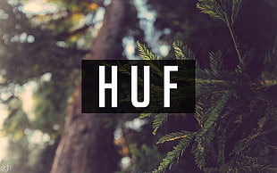 pine tree with Huf text overlay, huf, nature, writing, forest