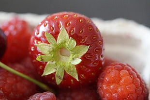 macro photography of red strawberry