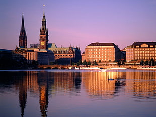 brown concrete tower building, Hamburg, Germany, reflection, swan HD wallpaper