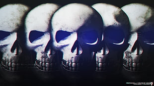 five gray skulls poster, skull HD wallpaper
