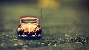 silver-colored and red gemstone ring, car