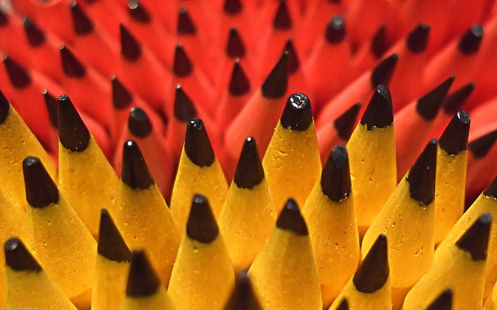 black color pencils HD wallpaper
