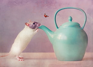 mouse reaching a teal kettle
