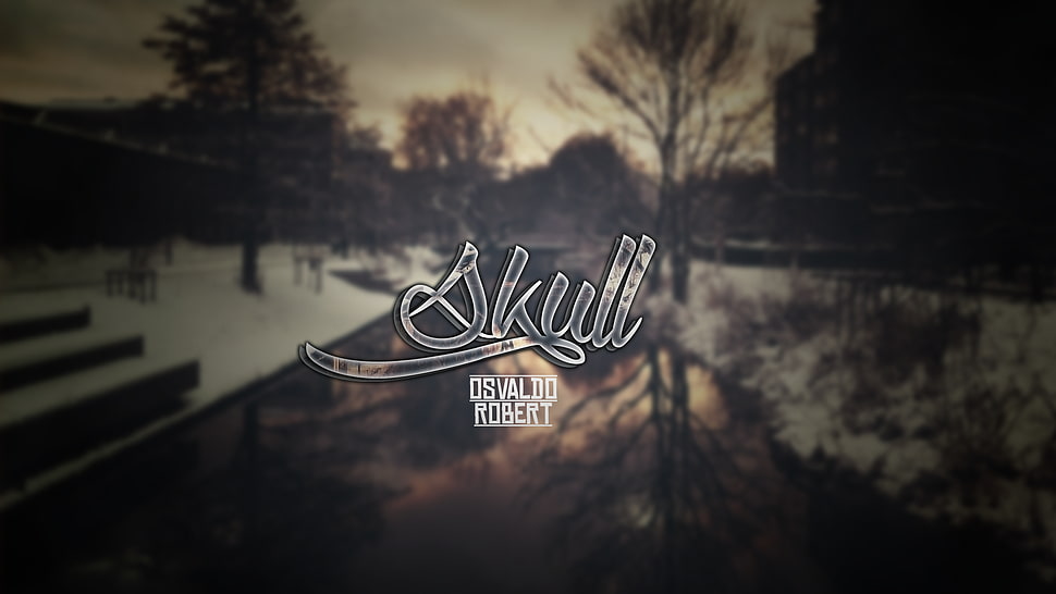 Skull Osvaldo Robert wallpaper, text, skull HD wallpaper