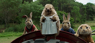 Peter Rabbit movie scene HD wallpaper