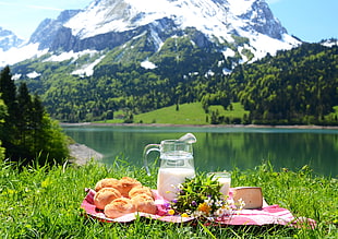 picnic during daytime