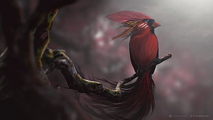 red and black bird painting, red, birds, digital art HD wallpaper