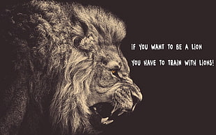 lion with white text overlay, lion, quote