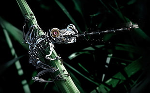 gray robot frog illustration, robot, mech