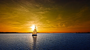 white and black sailboat, sea, sunset, boat, sunlight