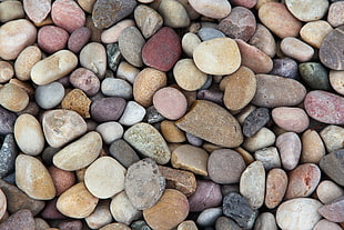 assorted-color pebble lot, rock, stones, closeup