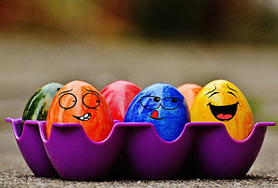 six eggs in purple plastic rack HD wallpaper