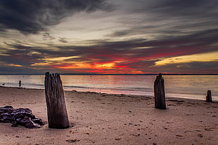 brown wooden posts on seashore during sunset