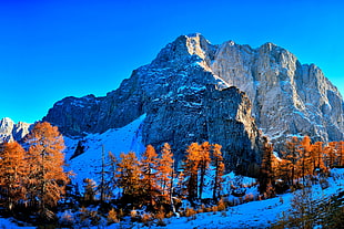 landscape photography of mountain during daytime