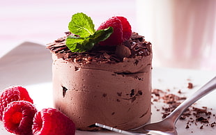 chocolate moose