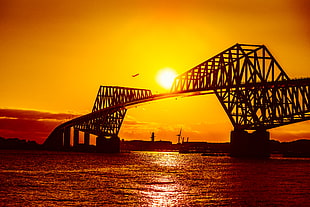 silhouette photography of bridge, tokyo