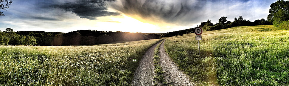 gray road in between green grass field under black cloudy sky HD wallpaper