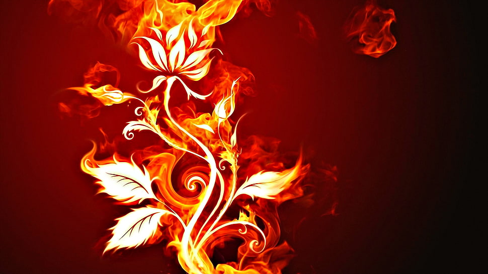 red flower illustration, fire, flowers HD wallpaper